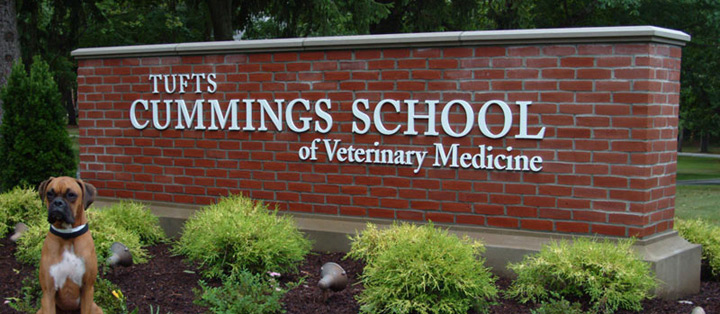 Cummings School of Veterinary Medicine sign