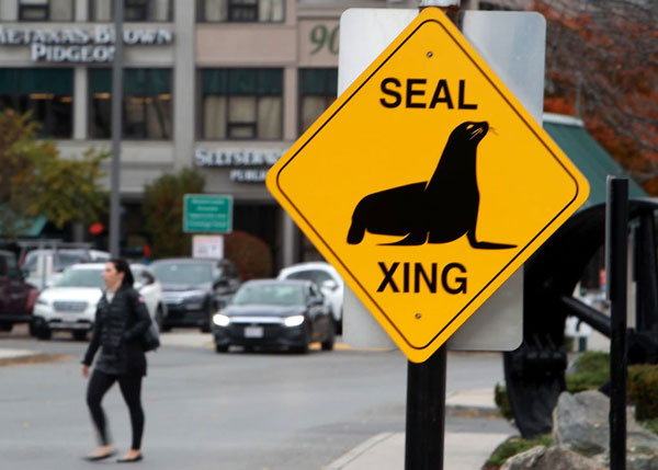 Shoebert Seal Crossing sign